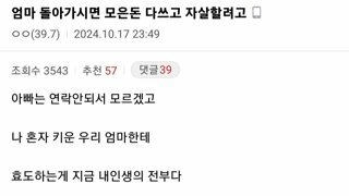 모은돈 다쓰고 자살하겠다는 디시인