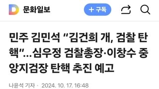 민주 김민석 “김건희 개, 검찰 탄핵”…심우정 검찰총장·이창수 중앙지검장 탄핵 추진 예고