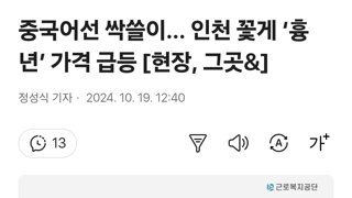 중국어선 싹쓸이... 인천 꽃게 ‘흉년’ 가격 급등