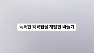 고장난 비둘기