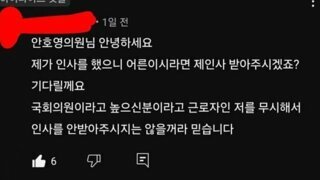 뉴진스 국감 보냈던 국회의원 댓글 근황