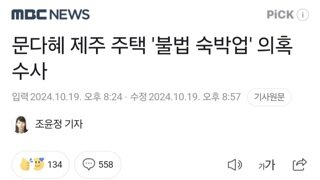 문다혜 제주 주택 '불법 숙박업' 의혹 수사