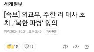 [속보] 외교부, 주한 러 대사 초치…‘북한 파병’ 항의