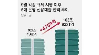 2025년 역대급 국채발행계획과 대출규제