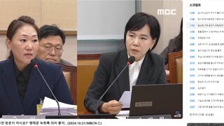 국회 국정감사 민주당 전현희 의원 질의에 대한 강혜경 증인의 증언 간추림