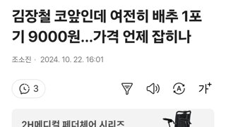 김장철 코앞인데 여전히 배추 1포기 9000원...가격 언제 잡히나