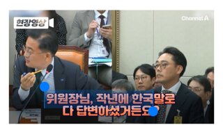 국감에서 통역 쓴 아디다스 대표