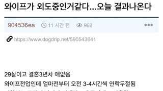 와이프 외도글과 후기