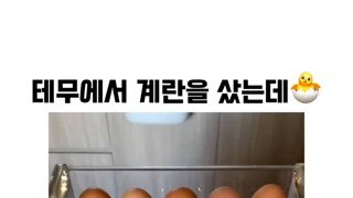 테무에서 산 달걀 시바