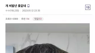 헤어 갤러리