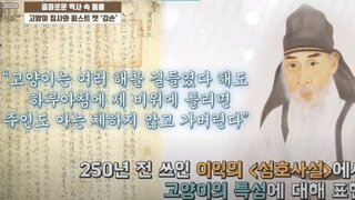 250년전 고양이에 대한 평가