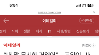 고양이들 지능 수준