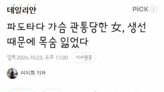 서핑하다가 황새치의 습격으로 사망한 여성