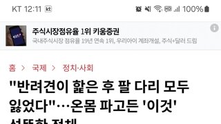 반려견이 핥았는데 사지절단