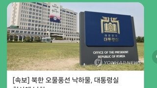 김정은 똥물풍선 용와대 적중