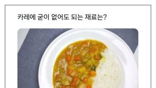 카레에 없어도 되는 재료