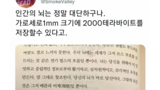 인간 뇌의 저장 능력