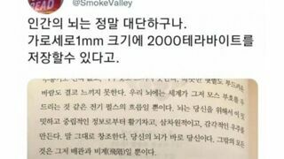 알고 보면 대단한 뇌의 능력