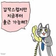 스티커 이미지