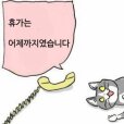 스티커 이미지