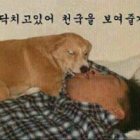 스티커 이미지