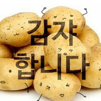 스티커 이미지