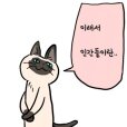 스티커 이미지