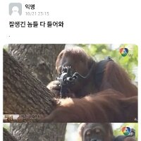 스티커 이미지