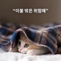 스티커 이미지