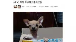 우리 아부지 개줍 하셨음.jpg