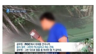 '계곡백숙'이 근절되지 않는 이유