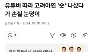 유튜버 따라 고려아연 ‘숏’ 나섰다가 손실 눈덩이