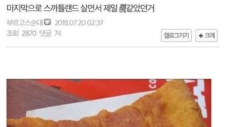 스코틀랜드 살다온 디시인이 가장 싫어했다는 것