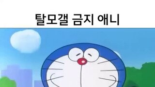 탈모갤 금지 애니