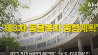 반려견 도입세 찬반 논란