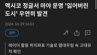 멕시코 정글서 마야 문명 '잃어버린 도시' 우연히 발견