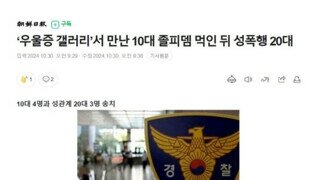 우울증갤러리 10대 성폭행 한 20대들 구속