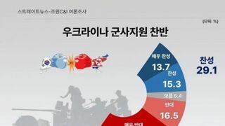 우크라이나 군사지원 찬반