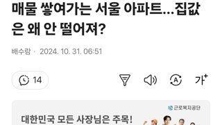 매물 쌓여가는 서울 아파트…집값은 왜 안 떨어져?