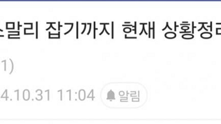 황금고블린 소말리 포획 과정