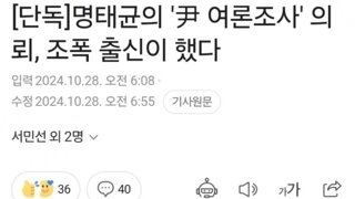 윤석열 여론조사 돈댄건 조직폭력배