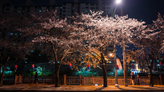 남편과 사별한지 3개월