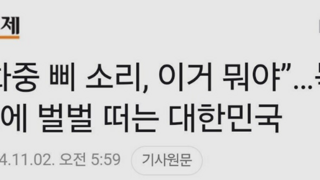 공포에 떨고 있다는 대한민국(?) 근황