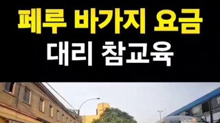 페루 바가지 요금 대리 참교육