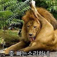 스티커 이미지