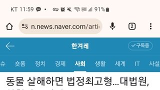 동물 살해하면 법정최고형, 징역 3년까지 처벌 가능