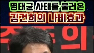 김건희가 돈을 밝힌 나비효과?? ㅋㅋㅋ