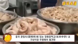 어메이징 대륙 급식 클라스