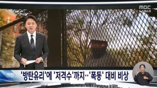 폭동 소요사태 대비하고 있는 미국 대선 모습