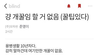 블라) 디아2 용병 담당 직업별 고충